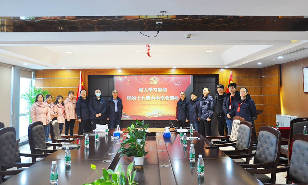 銀河電氣黨支部開展2021年黨日系列活動 銀河電氣黨支部開展2021年黨日系列活動