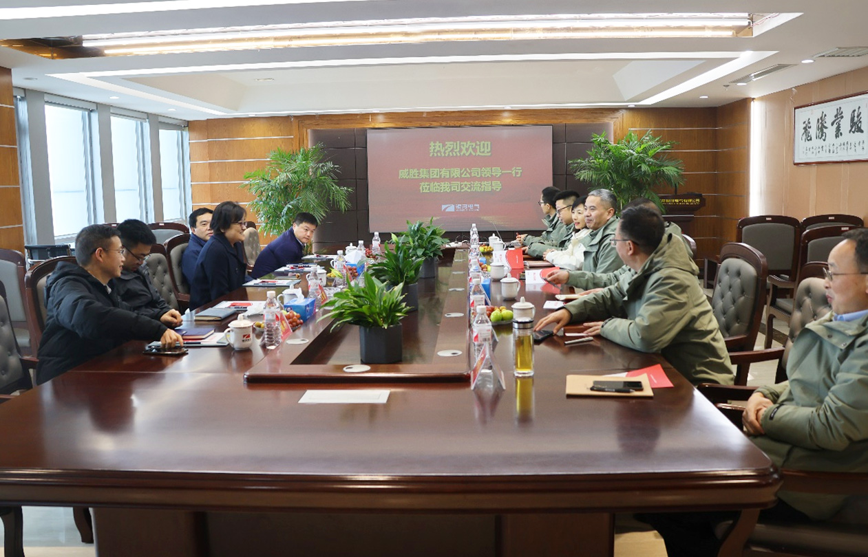 威勝集團(tuán)訪(fǎng)問(wèn)湖南銀河電氣有限公司