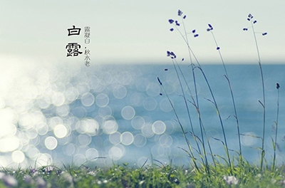 白露降，秋意濃