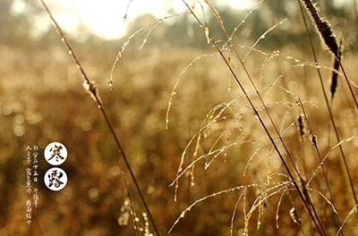 寒露已至，注意添衣防寒